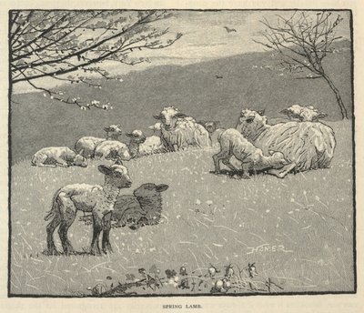 Spring Lamb by Winslow Homer