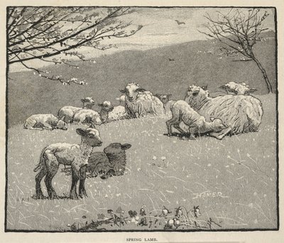 Spring Lamb, from Scribner