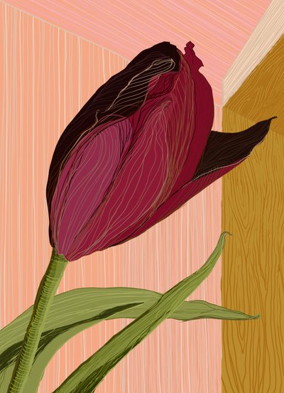 Crimson Tulip Corner by XHOZUCAN