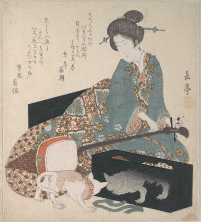 Woman Tuning a Shamisen and a Cat Looking at Its Own Reflection by Yashima Gakutei