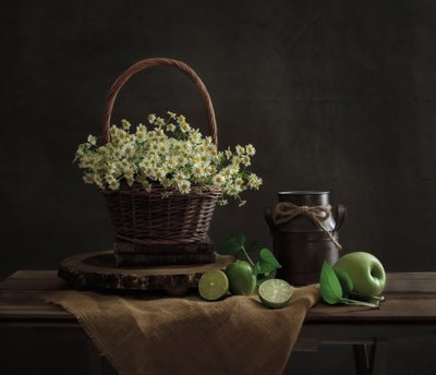 Rustic Daisy Still Life by Yinan F.