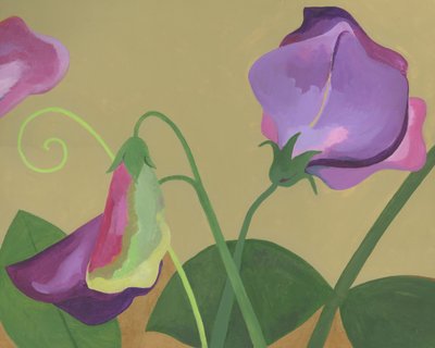 Purple Sweet Pea Blooms by Yvonne Gustafsson