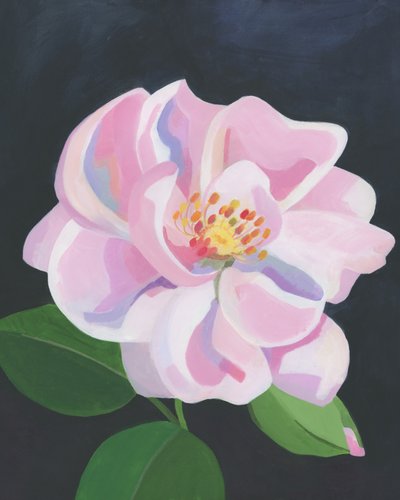 Soft Pink Rose by Yvonne Gustafsson