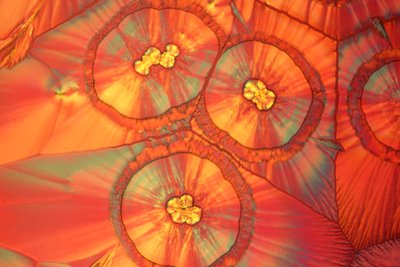 Micrographs (Light) Ascorbic Acid, Light Micrograph by Frederick (attr. to) Barnard