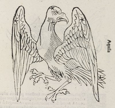 The Constellation of Aquila by John Pardon