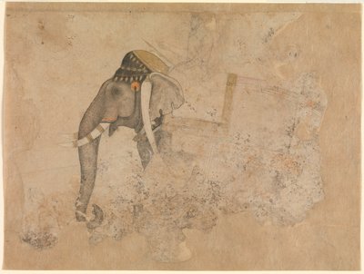 Hashim. Elephant and Rider by Hashim