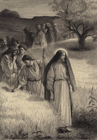 Jesus and His Disciples in the Corn Field by after Albert Robida