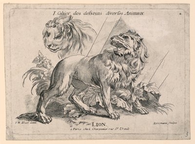 Studies of Lions, Plate 4 from 