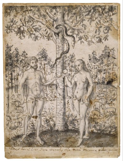 The Fall of Man by after Lucas Cranach the Younger