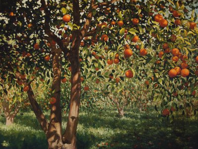 Silence under the Oranges II, 2012 by angus hampel