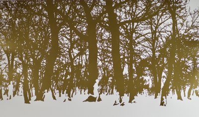 Trees of Life by angus hampel