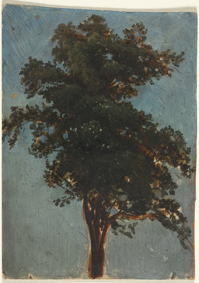 Tree Study by attributed to Alexandre Calame