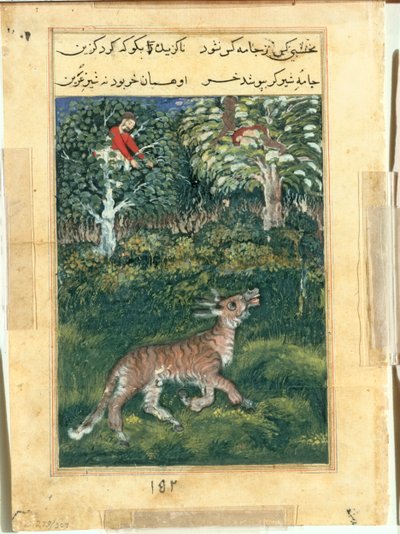 The donkey, in a tiger’s skin, reveals his identity by braying aloud, from a Tuti-nama (Tales of a Parrot): Thirty-first Night by attributed to Basavana
