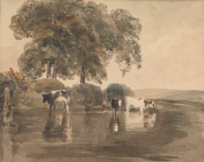 Cows in a Pool by attributed to Peter DeWint