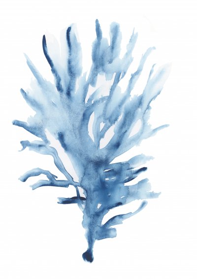 Abstract Blue Coral by cartissi