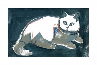 Artistic White Cat by cartissi