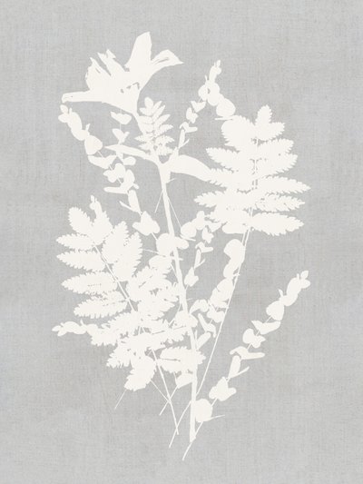 Botanical Silhouette Study by cartissi