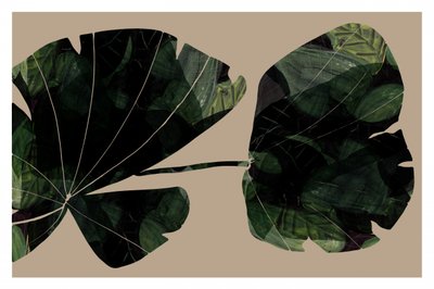 Dark Tropical Leaves by cartissi