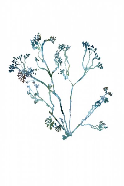 Delicate Botanical Sprig by cartissi