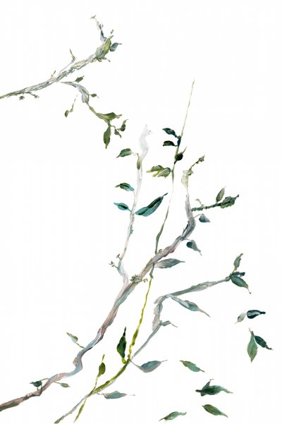 Delicate Green Branches by cartissi