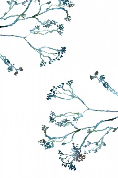 Delicate Winter Branches by cartissi