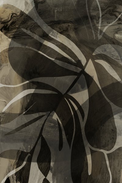 Earthy Botanical Forms by cartissi