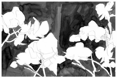 Elegant Night Blooms by cartissi