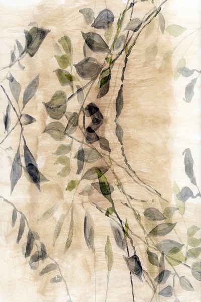 Ethereal Botanical Flow by cartissi