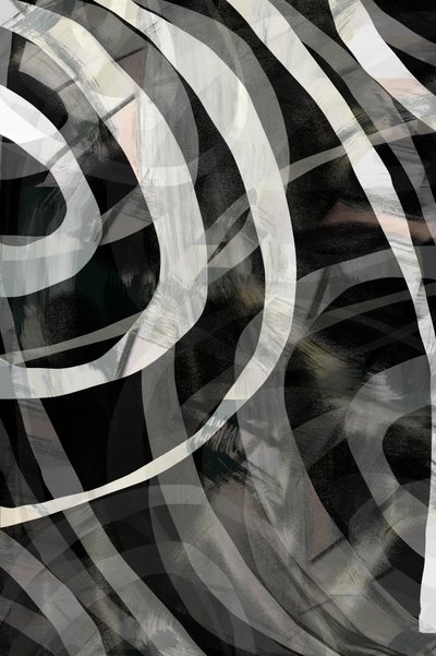 Flowing Monochrome Lines by cartissi