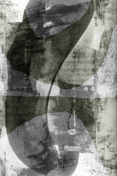 Fluid Monochrome Shapes by cartissi