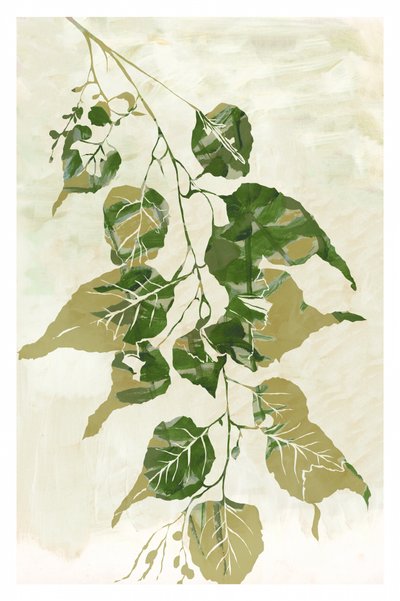 Fresh Green Leaves by cartissi