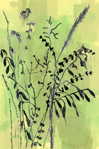 Green Botanical Silhouettes by cartissi