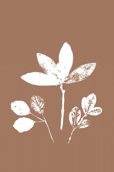 Leaves in Contrast by cartissi