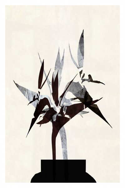 Modern Botanical Still Life by cartissi