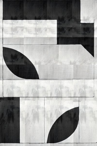 Monochrome Organic Shapes by cartissi