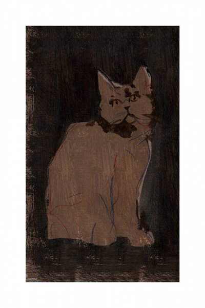 Moody Cat Portrait by cartissi