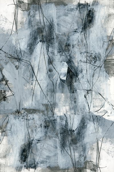 Organic Gray Abstraction by cartissi