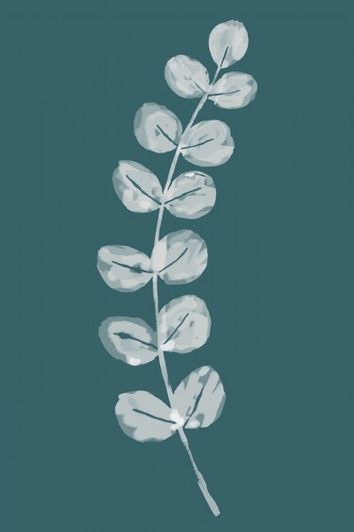 Soft Eucalyptus Leaves by cartissi