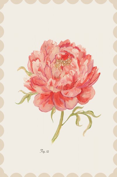 Vintage Pink Peony by cartissi