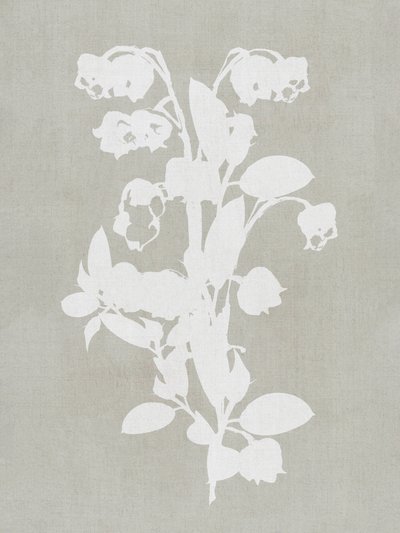 White Botanical Blooms by cartissi