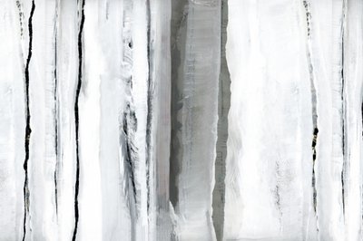 White Forest Abstraction by cartissi