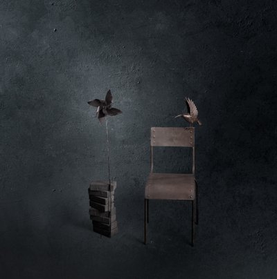 Dark Bird Empty Chair by chenyi wang
