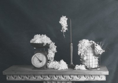 Vintage Cotton Still Life by chenyi wang