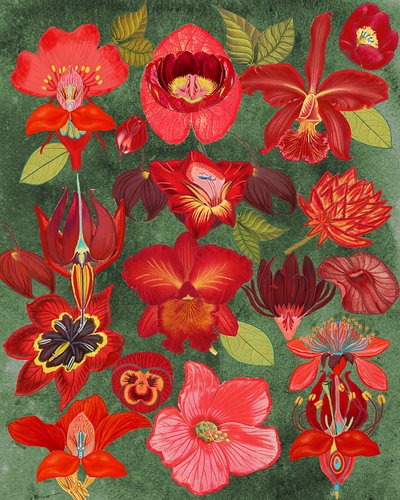 Botanical Red Garden by giovanna nicolo