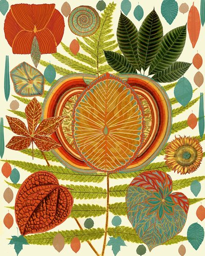 Vibrant Botanical Forms by giovanna nicolo