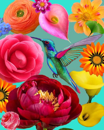 Vibrant Flowers Hummingbird by giovanna nicolo