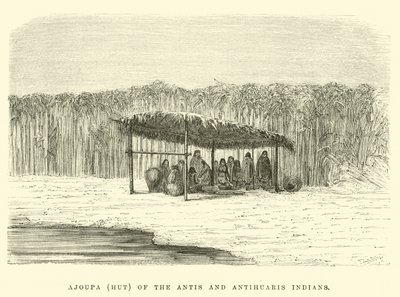 Ajoupa (hut) of the Antis and Antihuaris Indians  by Edouard Riou