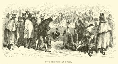 Cock-fighting at Cuzco  by Edouard Riou