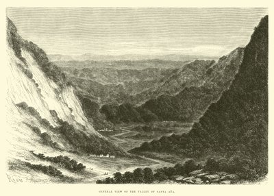 General view of the Valley of Santa Ana  by Edouard Riou