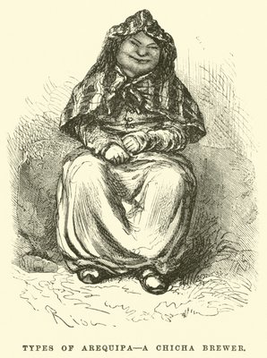 Types of Arequipa, a Chicha brewer  by Edouard Riou